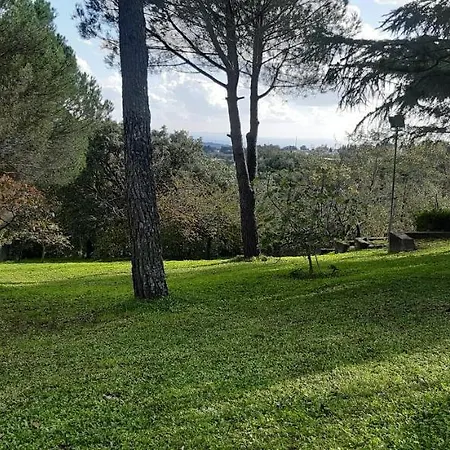 Apartment Dei Pini